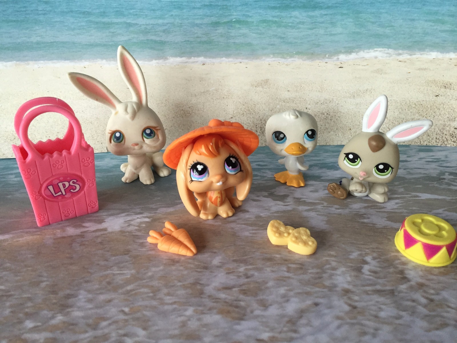 pet shops that sell rabbits