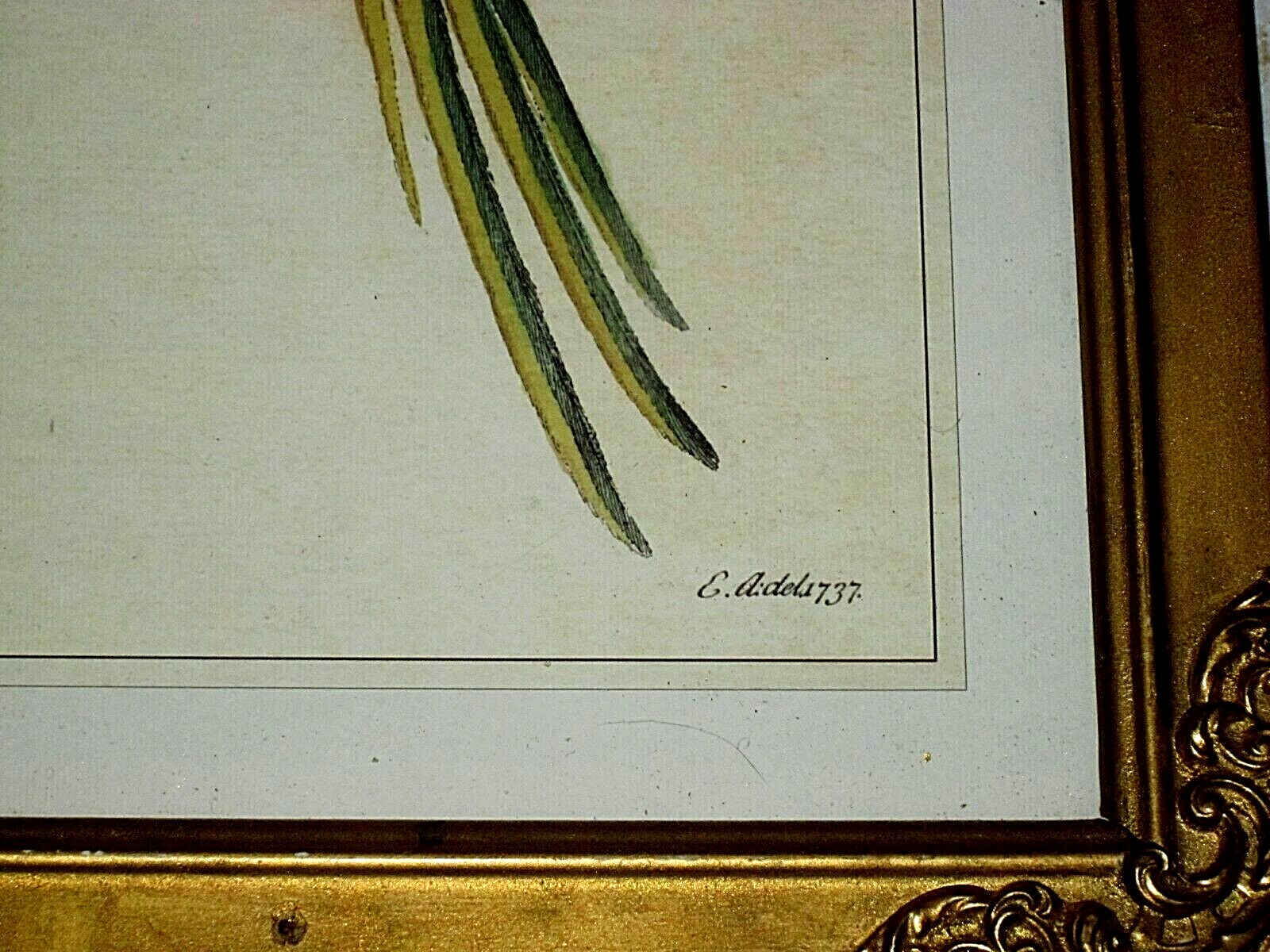 Foto 3 di 7