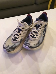 hoka one one carbon x mileage