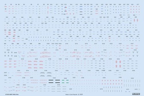 EDUARD D72055 1/72 MiG-21bis Stencils DECAL for EDUARD Kit