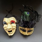 Venetian Masquerade 2pc Costume Masks Set