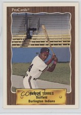 1990 ProCards Minor League Ramon Torres #3024 2tj