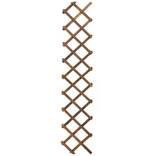 67 In. H Wooden Wall-Expandable Plant Garden Trellis Outdoor Air Plant Vertical 