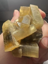 Superb Golden Barite Crystals, Monte Mesu Villamarsaggia, Sardinia, Italy 