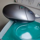 Foto 7 di 8
