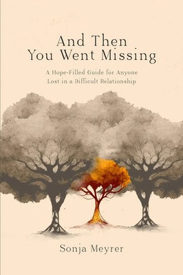 And Then You Went Missing Sonja C Meyrer Taschenbuch Englisch 2023