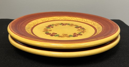 2 Terre Provence Luncheon Plates 9 1/4” NWT France French Pottery - Picture 6 of 6