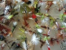 **24 EARLY SEASON FLY FISHING FLIES  **