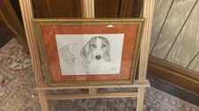 Basset Hound Pencil Sketch, Framed 13x11" Signed 'Jack', Realistic Dog Portrait