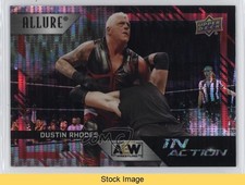 2024 Upper Deck Allure AEW In Action Red Rainbow Dustin Rhodes #IA-6 READ 5yy