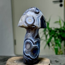 61G Top natural Gobi agate eye agate/stone carved mushroom Madagascar