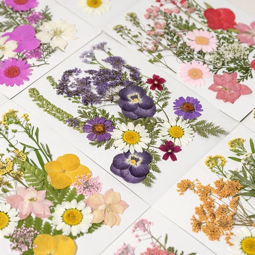 Dried Pressed Flowers Natural Epoxy Resin Candle Nail Art Scrapbooking Craft AU - Picture 47 of 210