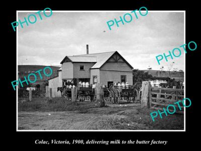 OLD LARGE HISTORICAL PHOTO OF COLAC VICTORIA MILK AT THE BUTTER FACTORY c1900