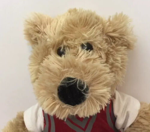 Cavaliers NBA plush bear 2006 Stuffed Animal Toy - Picture 2 of 8
