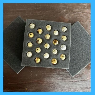 Quail Shipper set 20 Holes---Free Shipping