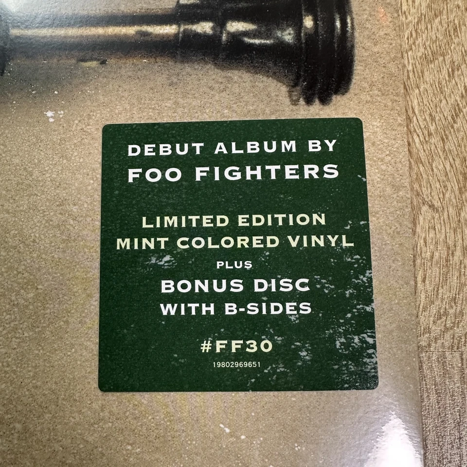 Foo Fighters - Foo Fighters Blue 2 x Vinyl Record 2025 Bonus Tracks Ltd Edition - Bild 3 von 4