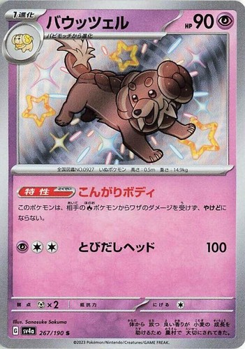 Dachsbun 267/190 Holo Shiny Rare SV4a: Shiny Treasure ex NM Pokémon TCG JP