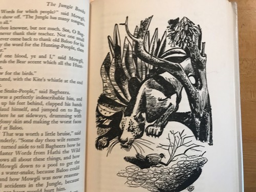 The Jungle Books, Rudyard Kipling Volumes 1 & 2 Set 1948 Illus. by Aldren Watson - Picture 4 of 6