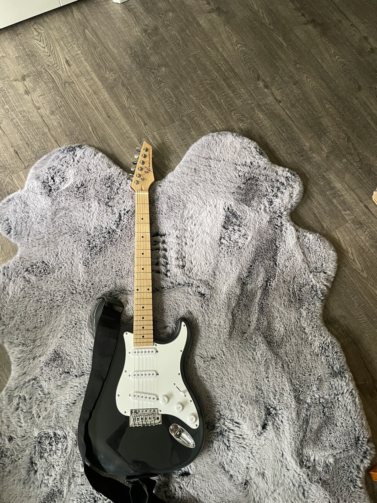 Fender Guitar eBay
