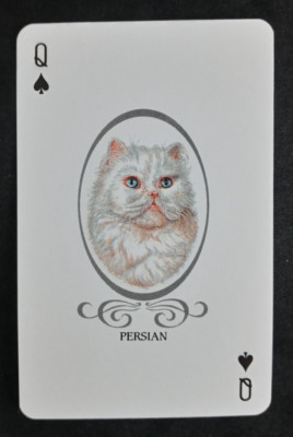 Cat Lovers Playing Card Blue Back Persian Queen Spades