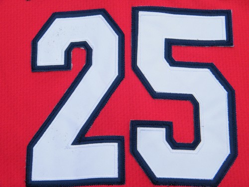 Players Choice Mark McGwire St. Louis Cardinals MLB Jersey (L), BobbleHead, Bear - Picture 10 of 10