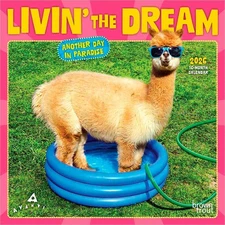 Avanti Livin' the Dream OFFICIAL | 2026 7x14" (Hanging) Mini Wall Calendar