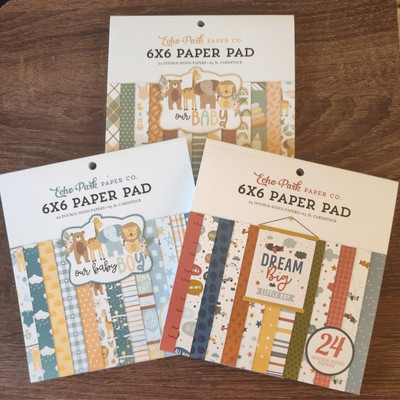 Brand New Echo Park 6x6 Paper Pads