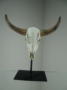 Tischdekoration Wild West Stierschadel Buffelkopf Schadel Longhorn Skull Ebay