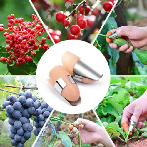 Portable Finger Cover Harvesting Pruning Pick Separator Vegetable Thumb Cut k-u- - Afbeelding 1 van 9