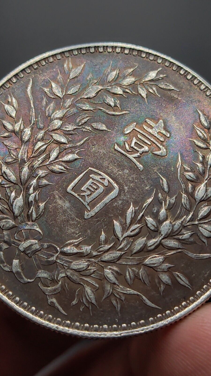 Picture 4 of 5