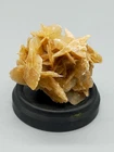 Fascinating Desert Rose Natural Minerals