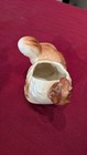 VINTAGE 1950's CALIFORNIA POTTERY HAND PAINTED CERAMIC COCKER SPANIEL PLANTER — photo 6