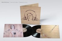 David Sylvian - Died In The Wool Manafon Variations - Vinyl Record 2L - F99Z