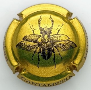 Cantamessa CMX 001 Italian Capsule Piedmont Sparkling Wine Capsules