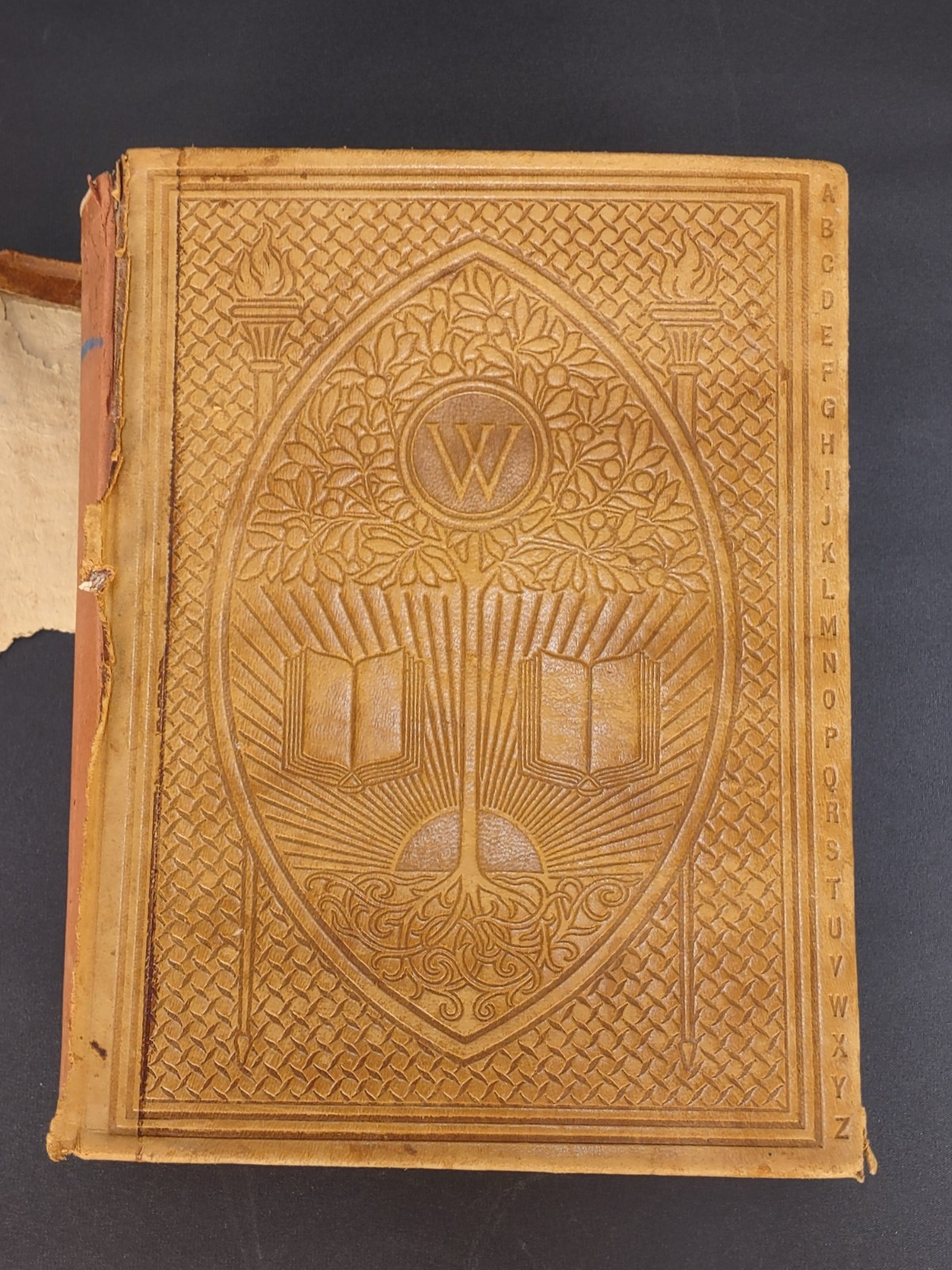 1903 Webster's Dictionary The New Census Edition Lg Leather Bound Illustrated