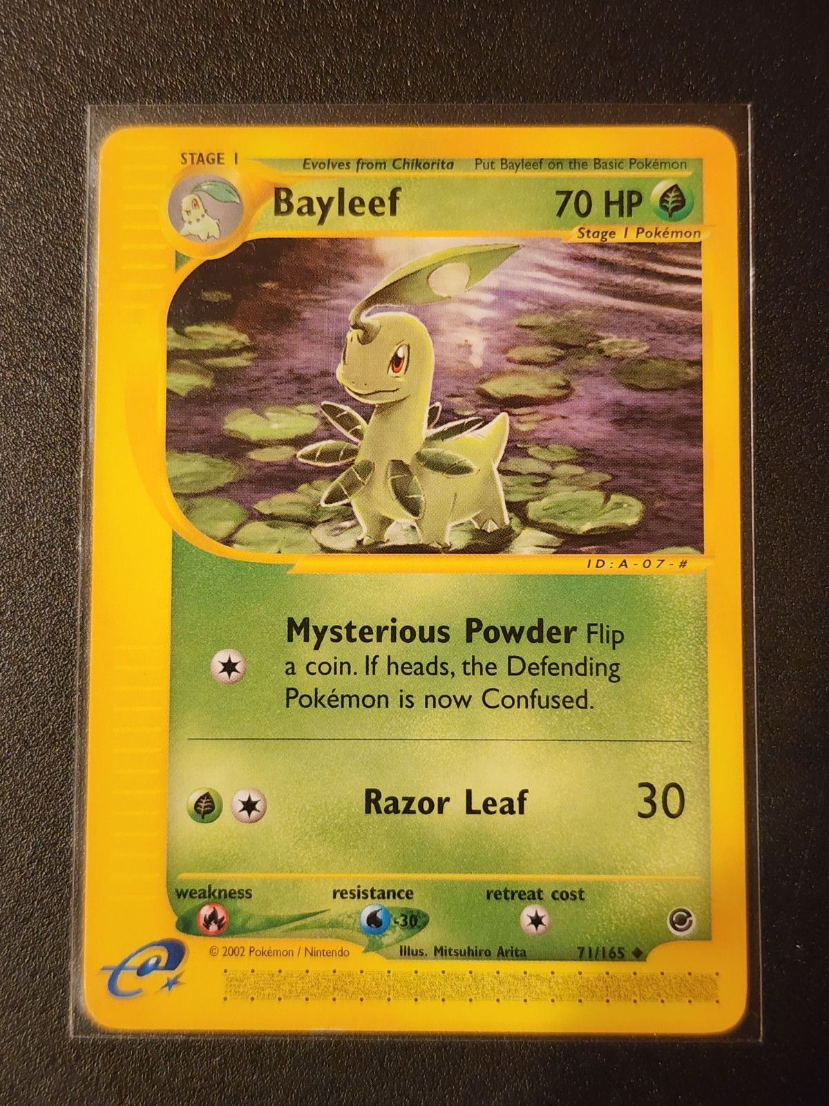 Bayleef Uncommon Expedition 071/165 NM Pokemon Card