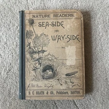 Sea-Side And Way-Side, Nature Readers No. 3, Julia McNair Wright. DC Heath 1892.