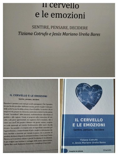 Das Gehirn und die Emotionen, Fühlen, Denken, Entscheiden, Hachette - Bild 6 von 6