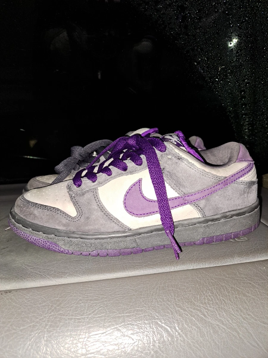 Nike sb deals purple pigeon