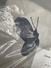 Pottery Barn King Shams Butterfly Kisses Organic Percale Set Of 2 — photo 6