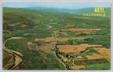 Asti California Vineyard Scenic Panoramic Wine Country Hillside Chrome Postcard