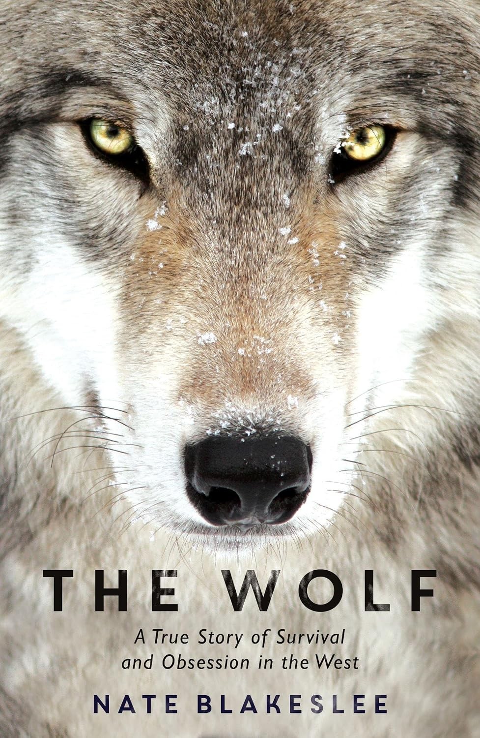 The Wolf : A True Story Of Survival And Obsession In The West Nate Blakeslee - Image 7