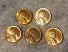 1948D, 1953, 1953D, 1954, 1957   AU/BU Wheat Pennies