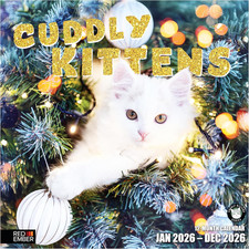 Cuddly Kittens 2026 Wall Calendar 12 Month  12" x 24" Open  Thick  Sturdy Pap