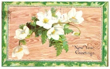 Vintage Postcard New Year Greetings White Flowers Art Nouveau