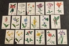 Lot of 18 Wild Flowers of America Vintage Cards - Coca Cola Rare - Near Full Set