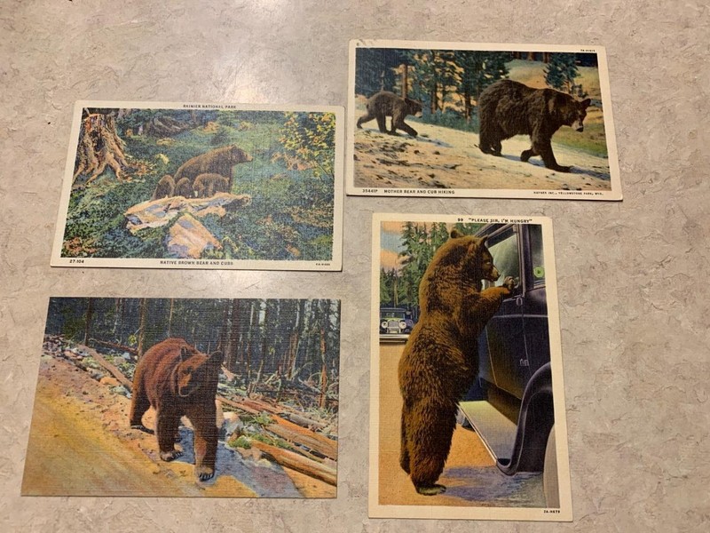 4 Different Bear Postcards (2-posted, 2-unposted) Nice SKU# 33181