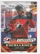 HOCKEY NHL 24 /25 UD CANVAS PROGRAM OF EXCELLENCE CONOR GEEKIE TAMPA BAY  #C262