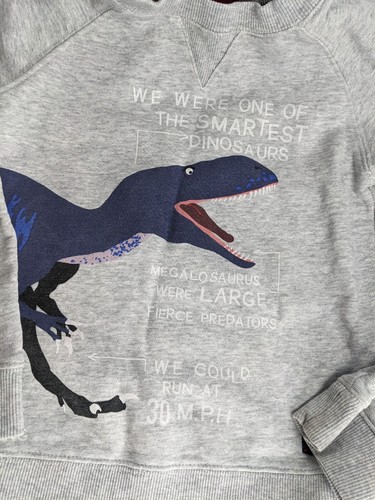 Joules Boys Size 8 Dino motif Gray Sweatshirt - Picture 4 of 9