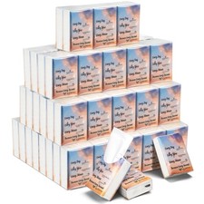 100 Pack Pocket Tissues 3 Ply Travel Size 1000 Sheets Mini Individual Packs